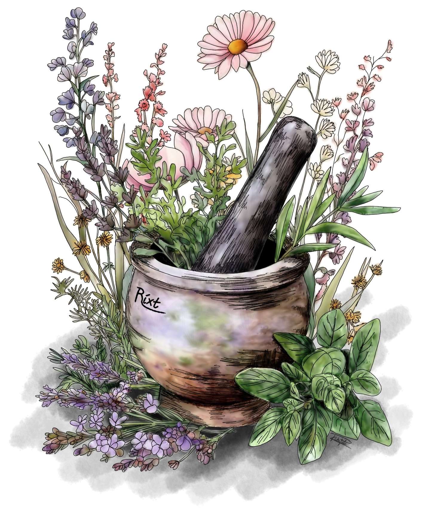 Rixts Herbals